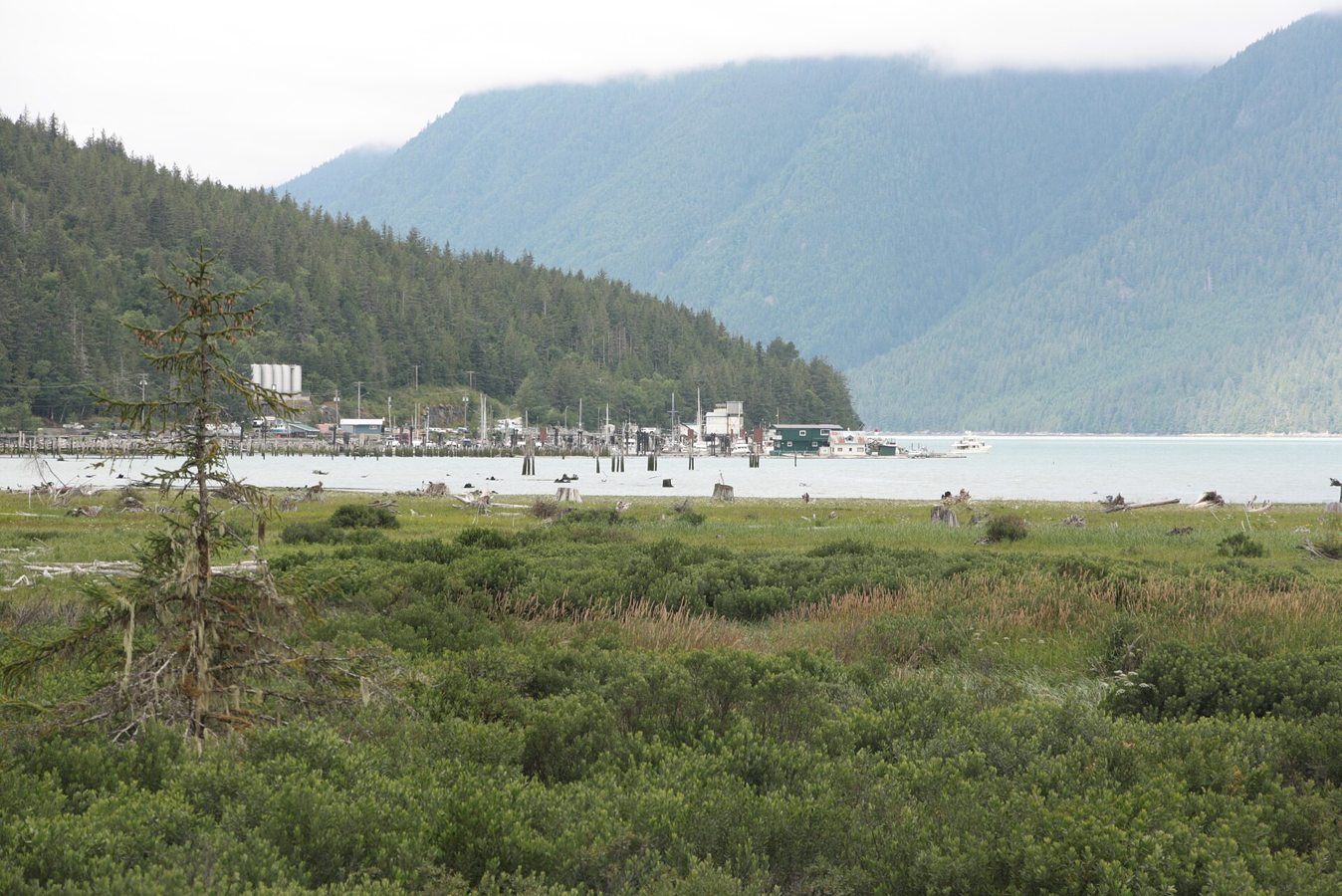 Bella Coola Harbour on North Bentinck Arm.